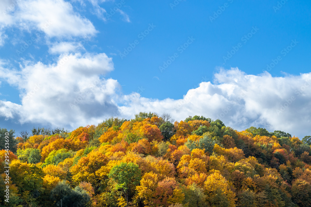October golden landscape in Europe. Autumn outdoor. Top of yellow, red and green trees, and blue sky with scenic white clouds. October golden landscape in Europe. Autumn outdoor. Top of yellow, red and green trees, and blue sky with scenic white clouds.