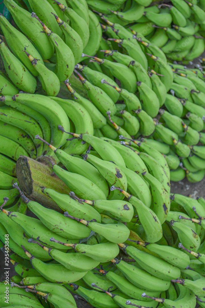 bunches of bananas green bananas bunches of bananas green bananas