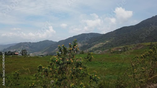 Beautiful  scenery of dairy farm located in Sabah, Malaysia over Mount Kinabalu background