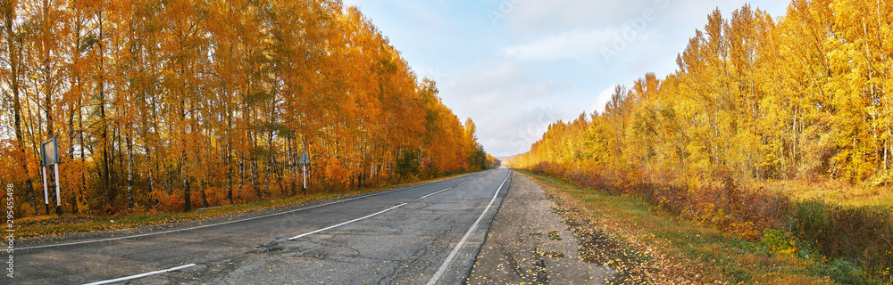 Panorama of a highway running through an autumn colorful forest