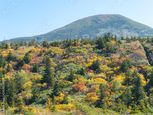 八甲田山 紅葉 登山