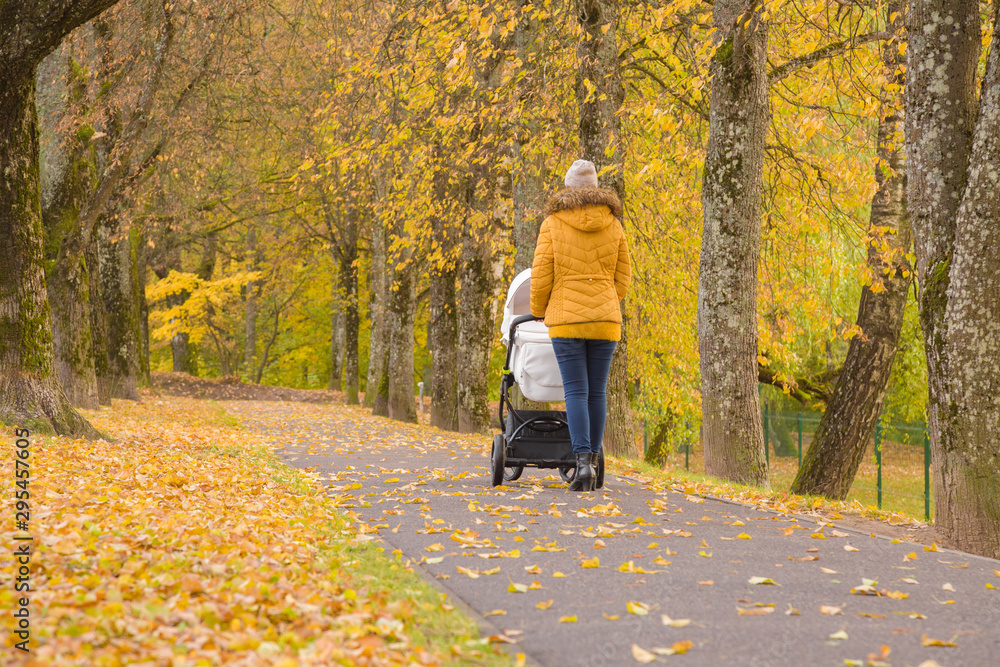 Fototapeta premium Young mother pushing white baby stroller. Walking through alley of trees at park. Orange yellow leaves. Peaceful atmosphere. Spending time with infant in beautiful, autumn day. Breathing fresh air.