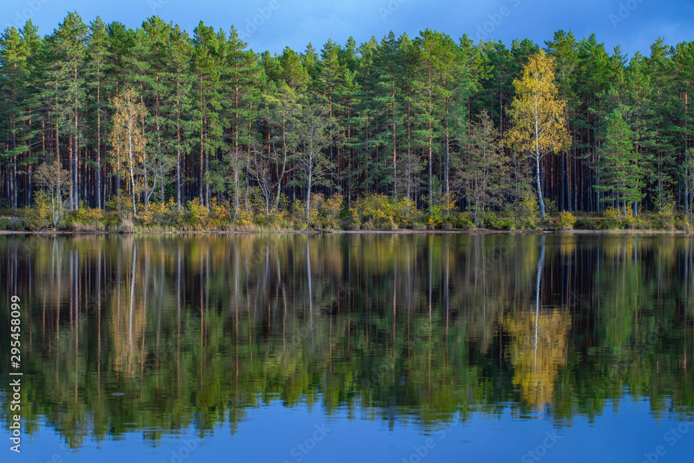 Latvian  nature. Kangari lake in forest. Reflection in water.