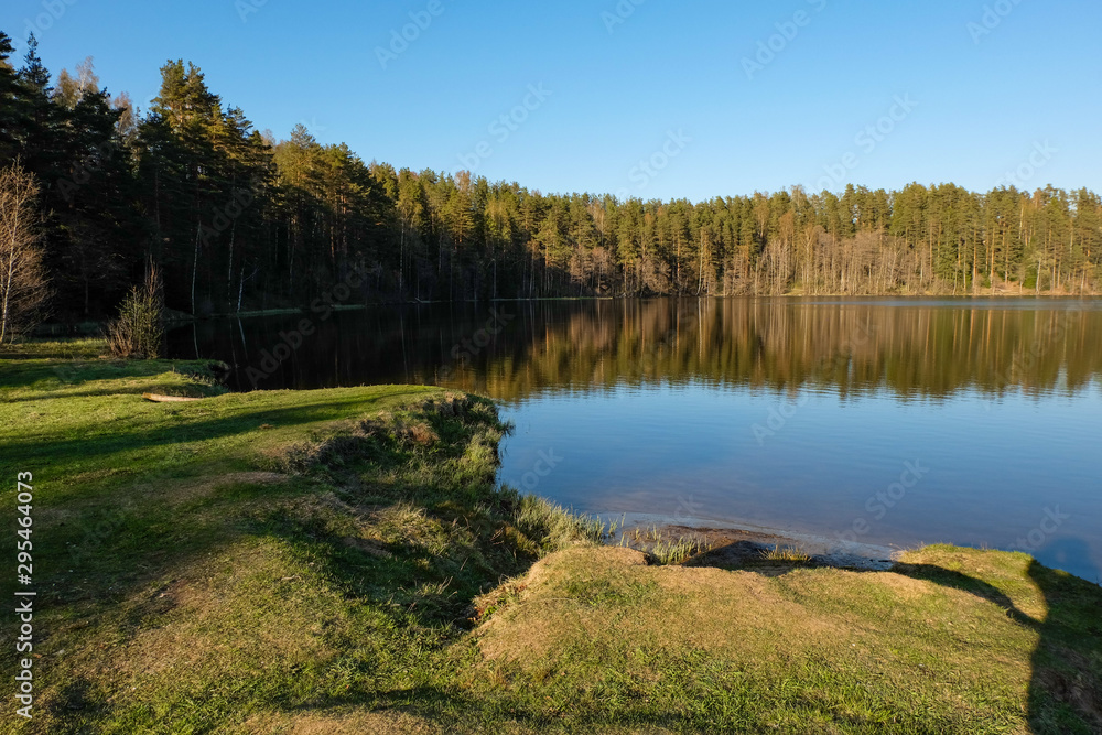 Landscape of the lake. Forest reflecting in the water surface
