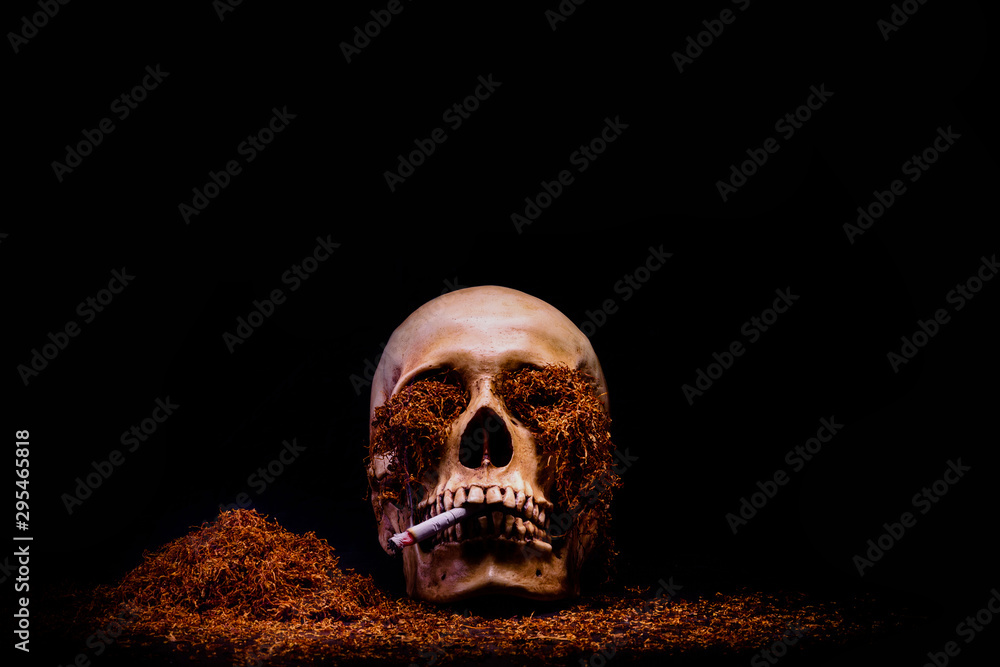 Skull smoking stub danger to health may be die. Skull smoking stub danger to health may be die.