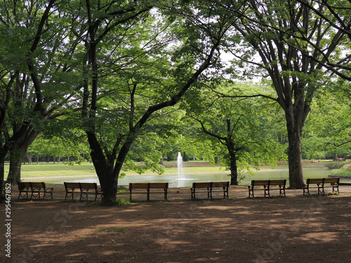 公園とベンチと噴水