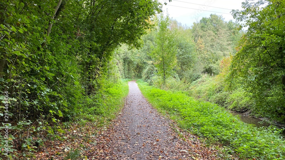 forest way forest way