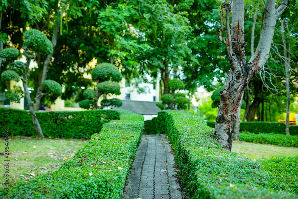 path in the park