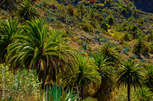 Naturaleza del Oeste de Tenerife