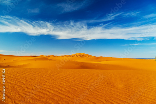 Fototapeta Naklejka Na Ścianę i Meble -  Sand Dunes of the Sahara Desert.