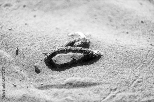 Plastikmüll am Strand