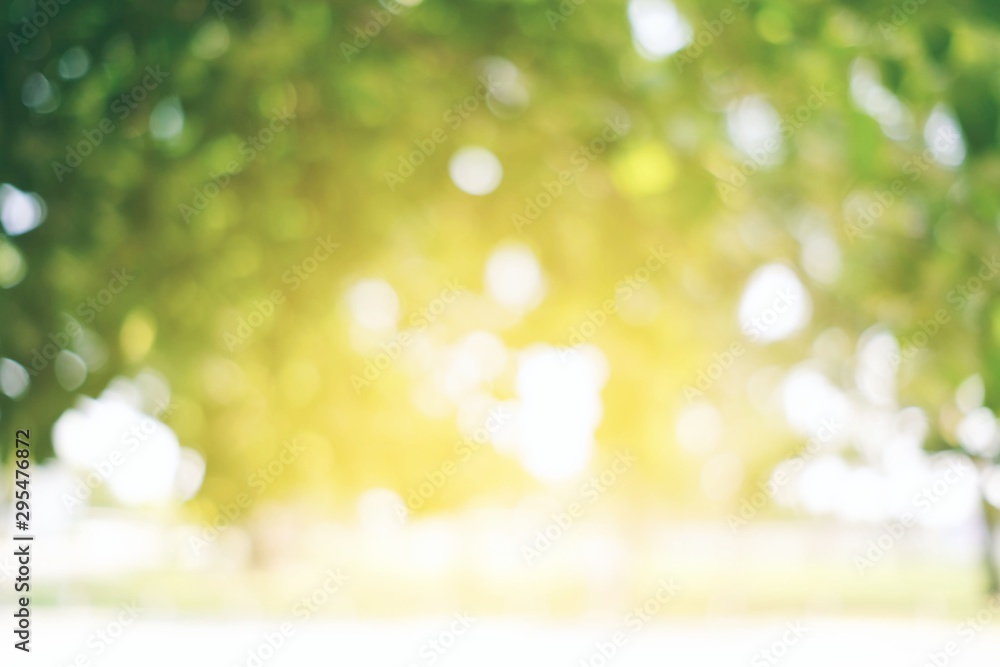 Fototapeta premium Abstract Nature Bokeh Background with Light Leak from the Top.