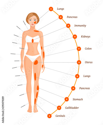 Acupuncture points on the human body. The projection of the internal organs. Vector illustration. Banner on the subject of alternative eastern medicine.