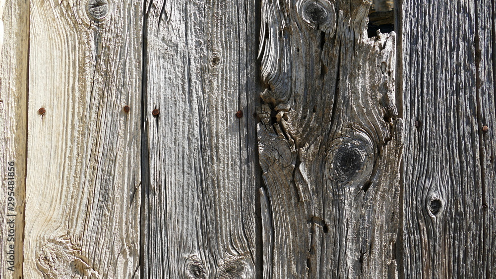 Deteriorated wooden door from an uninhabited village of Yesa in Navarre Deteriorated wooden door from an uninhabited village of Yesa in Navarre