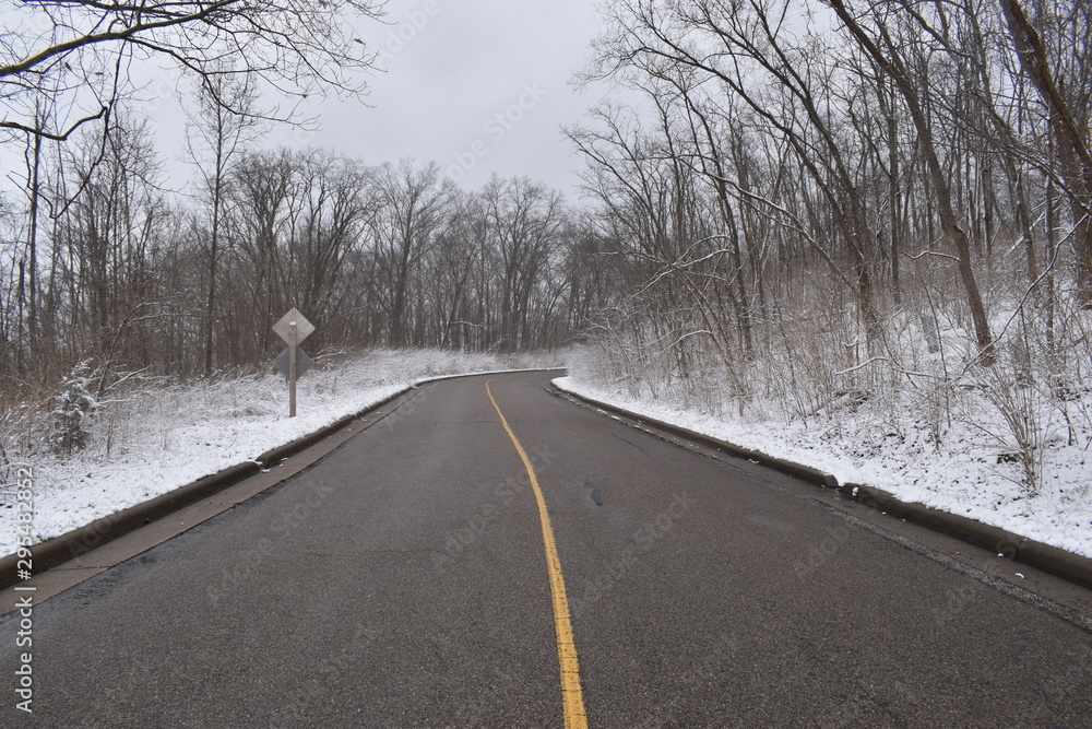 Fototapeta premium road in winter