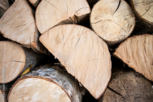 Tree logs pile forest wood carpentry