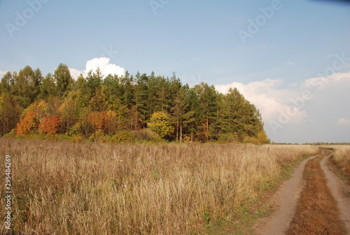 rural road