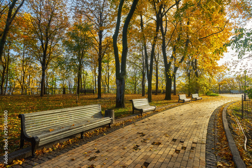 bench in Autumn season with colorful foliage and trees.