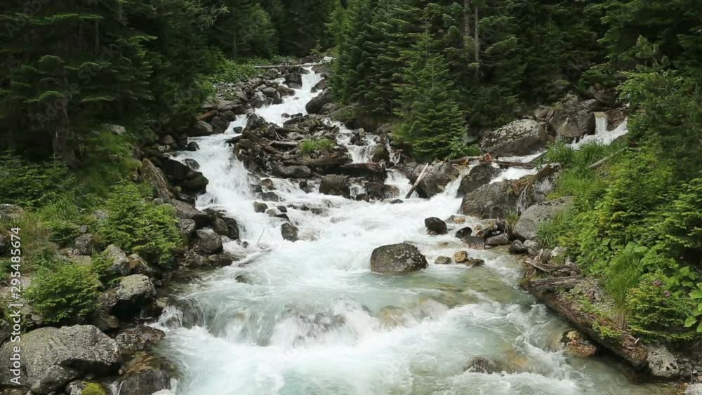 Amazing caucasus landscape. Mountain river rapidly flows over stones and fallen trees in the fir forest Amazing caucasus landscape. Mountain river rapidly flows over stones and fallen trees in the fir forest