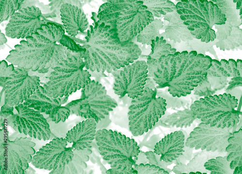 Seamless green pattern on white background. Green leaves.