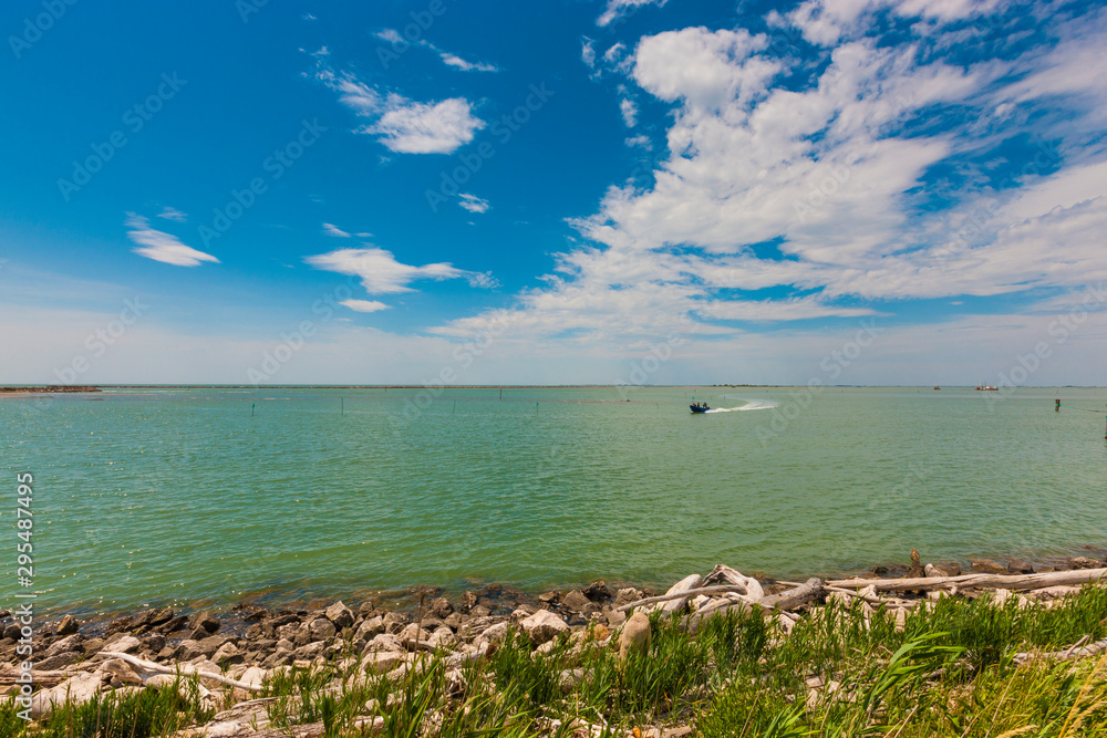 The natural park of Po delta in Italy