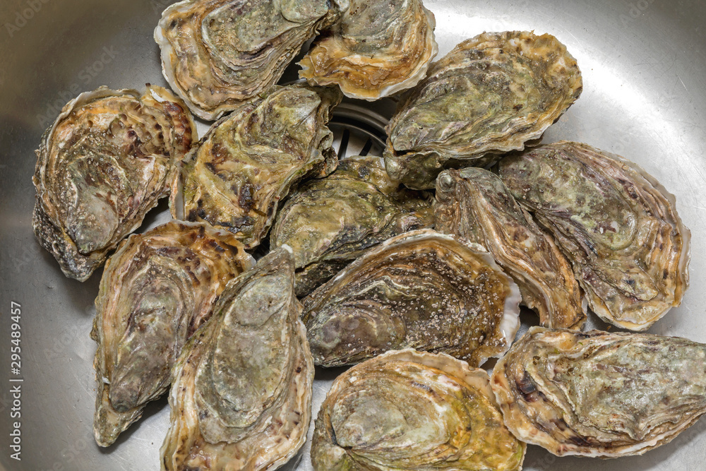 Bunch of Oysters Bunch of Oysters