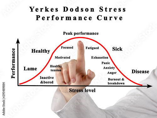 Yerkes Dodson Stress Performance Curve. photo