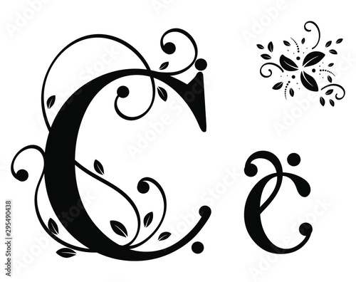  Alphabet with ornaments vintage vector, Letter C upper and lower case with leaves vector. Decoration vintage for invites card and other concept ideas. Illustration alphabet