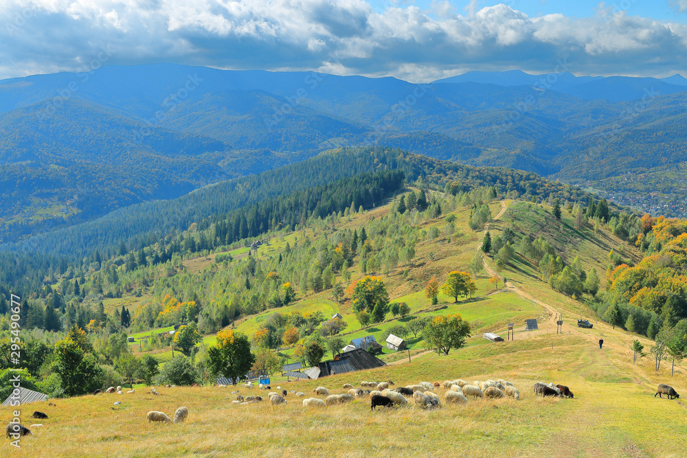 Rural landscape of the Carpathian mountains in autumn.