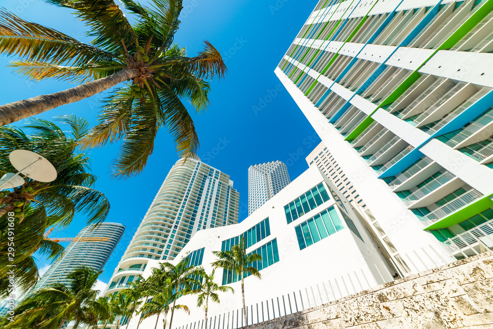 Skyscrapers and palm trees in beautiful downtown Miami - obrazy, fototapety, plakaty 