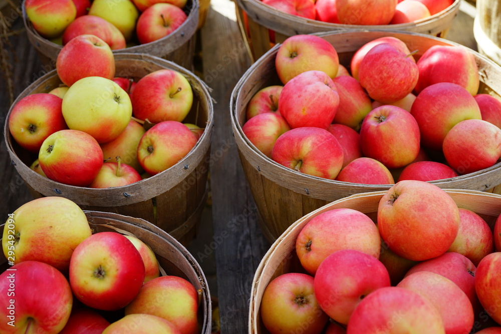 Baskets of fresh apples at a farmers market in the fall Baskets of fresh apples at a farmers market in the fall