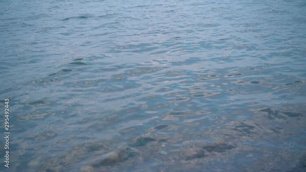 A young girl lying on the seashore unconscious, without movement. Unrecognizable, a woman lies face down on the shore with wet hair and clothes, her legs are covered in sea water. A young girl lying on the seashore unconscious, without movement. Unrecognizable, a woman lies face down on the shore with wet hair and clothes, her legs are covered in sea water.