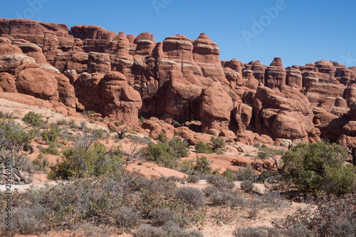 Desert plants and shrubs surrounding eroded sandstone peaks