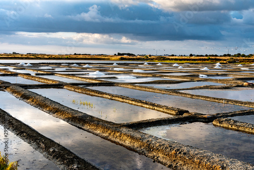 Tableau sur toile Salt marshes on the island of Noirmoutier in France