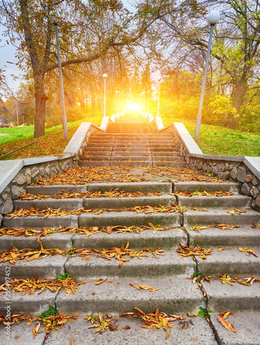 Autumn sunny day, steps of stairs in the old park, many fallen foliage. Seasons.