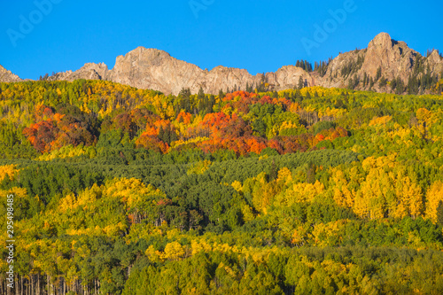 Autumn Colors on the Mountain on Kebler Pass, Crested Butte, Colorado