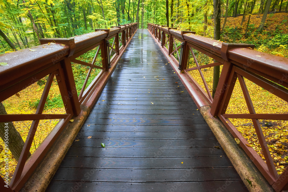 Obraz premium Beautiful wooden bridge in the forest. Colored leaves.