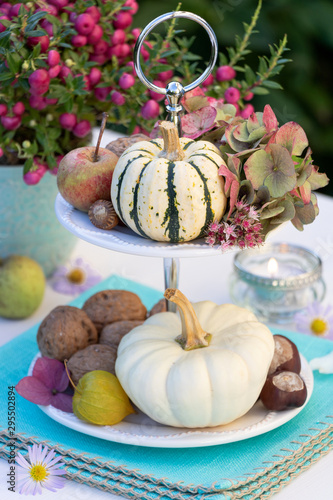 Herbstdekoration mit Kürbissen, walnüssen und Hortensienblüten auf einer Etagere photo