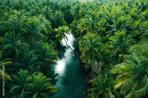 Pochylona palma nad rzeką Maasin Siargao