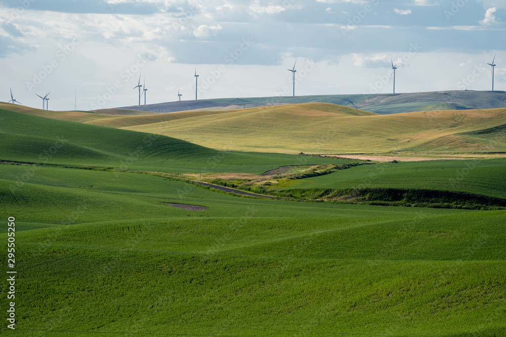 Farmland and grasses, with wind turbines in the Palouse region of Washington State, near Colfax, WA
