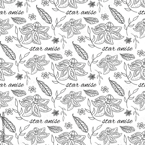 Star anise spices outline seamless pattern on white background, vector