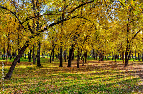 October in city park - bright colorful autumn landscape
