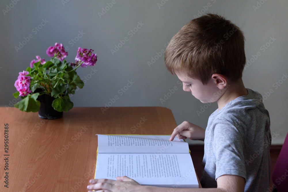 Schoolboy reading a book with interest. Home interior Schoolboy reading a book with interest. Home interior