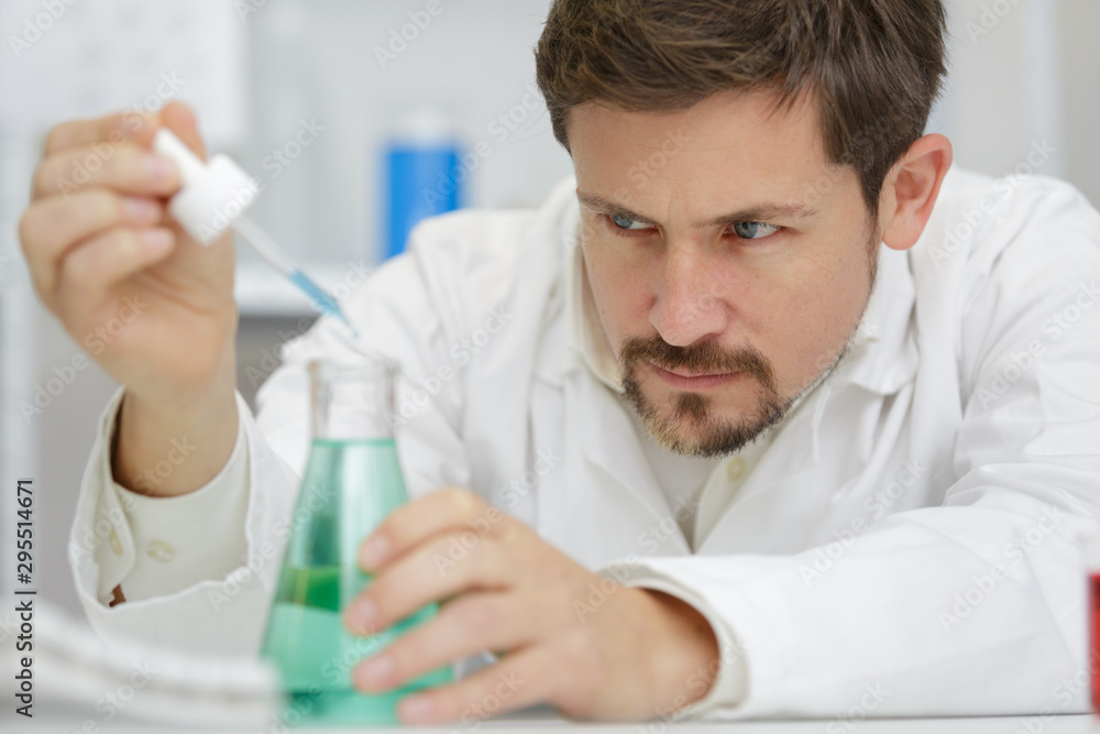 biologist working in petri dishes in lab biologist working in petri dishes in lab