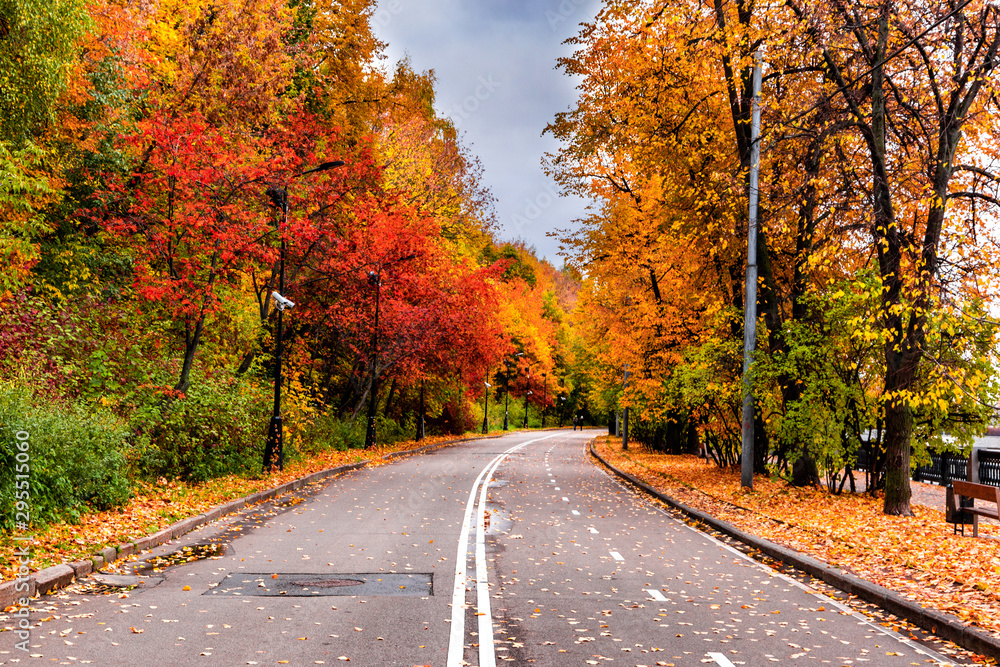 Cloudy day in autumn park.