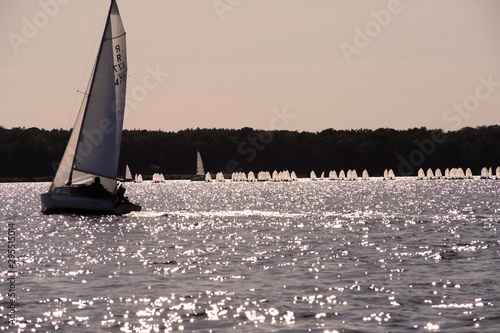 Canvas Print Ein Segelboot segelt auf dem Großen Müggelsee in Berlin
