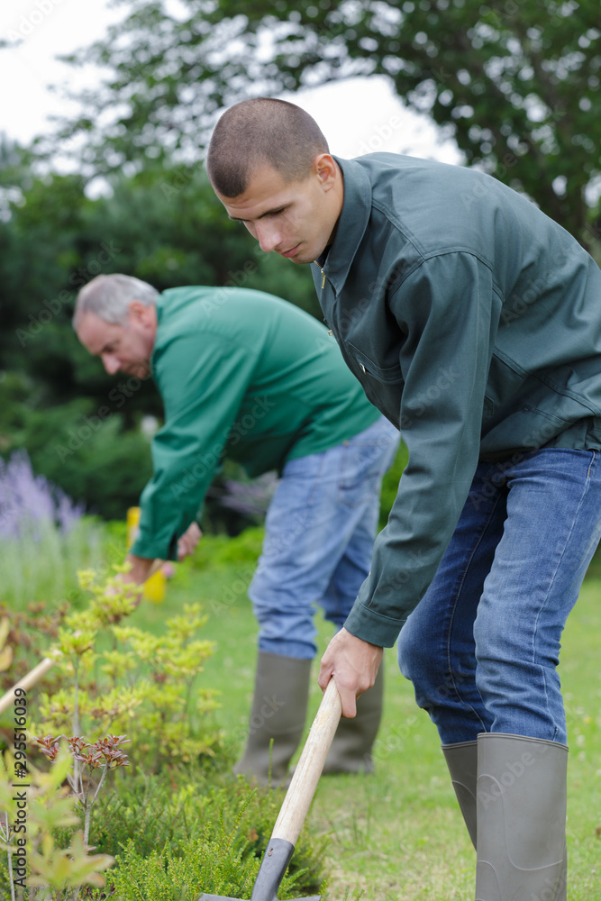 Fototapeta premium gardeners working with shovel in garden