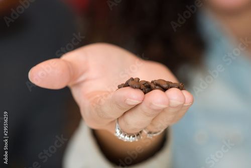 holding brown beans