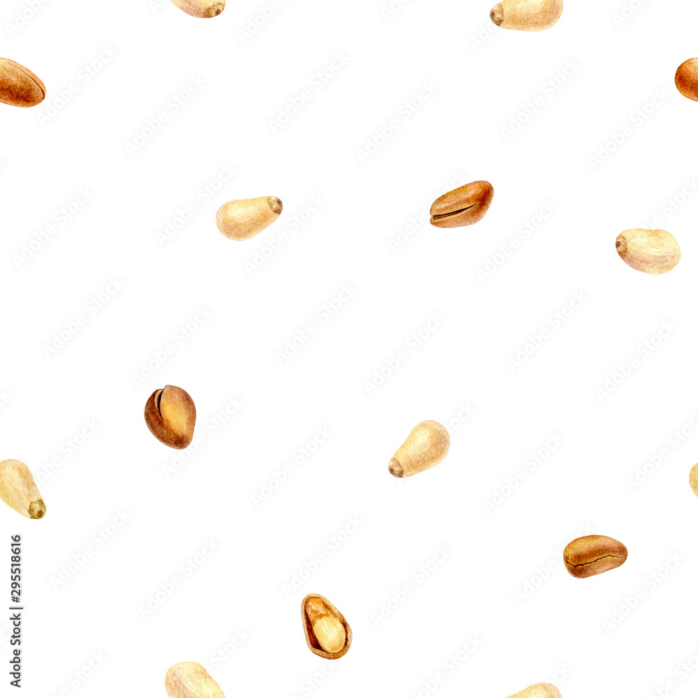 Pine nut hand drawn watercolor illustration. Seamless pattern. Pine nut hand drawn watercolor illustration. Seamless pattern.
