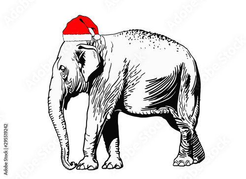 Graphical elephant in Santa Claus hat isolated on white background,vector new year illustration